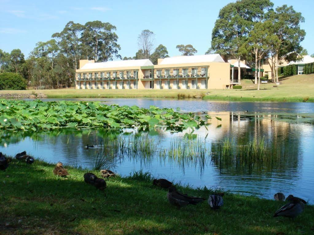 Mgsm Executive Hotel & Conference Centre Sydney Buitenkant foto